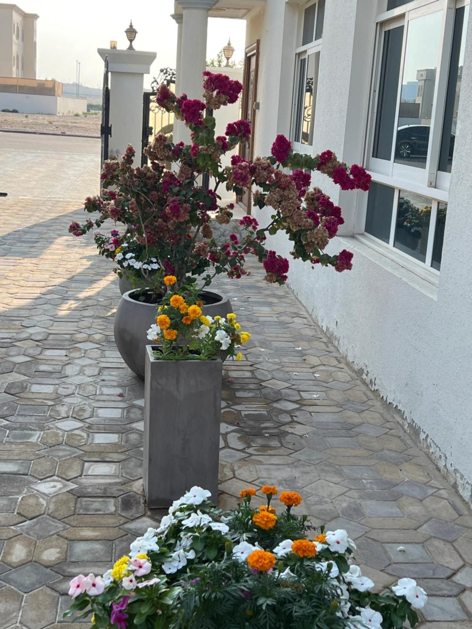 Homestay Alhosani Abu Dhabi