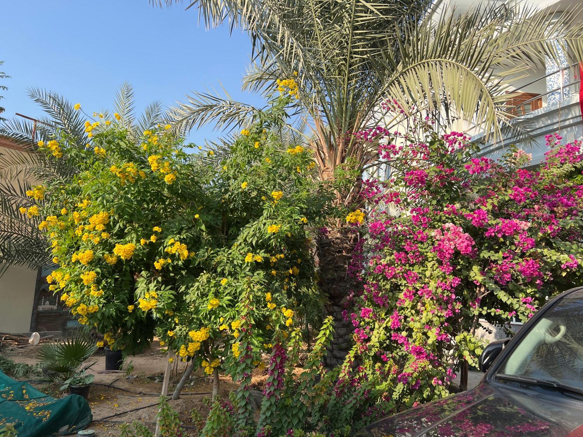 Alhosani Abu Dhabi